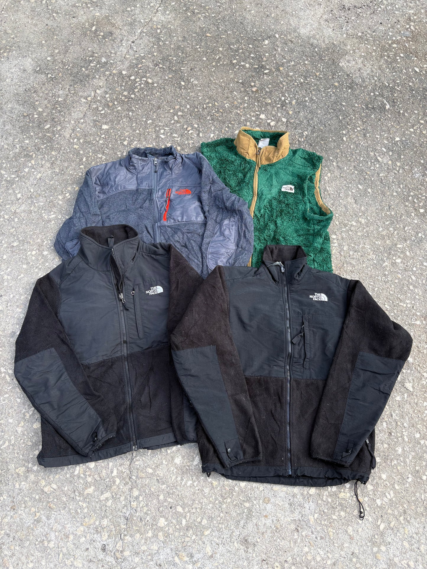 THE NORTH FACE FLEECE