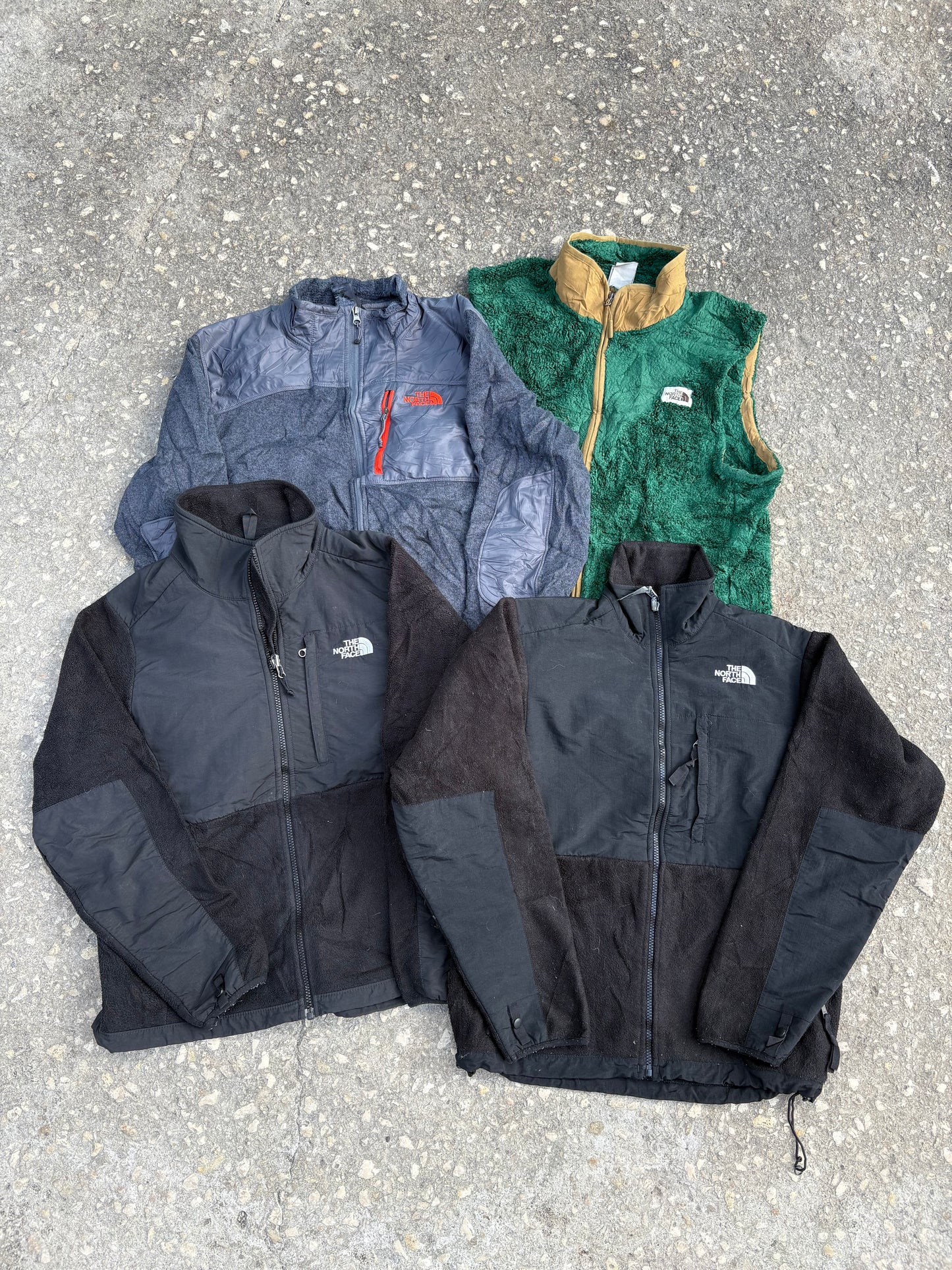 THE NORTH FACE FLEECE