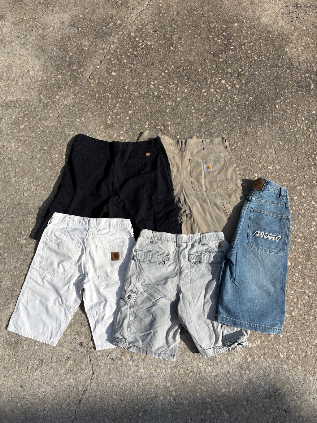 BOX Shorts carhartt/dickies